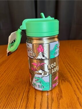 14 oz Hydrapeak Stainless Steel & Green Dinosaur Comic Strip Water Bottle